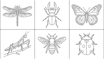 Insect line art vector icon set with dragonfly stag beetle butterfly praying mantis bee and ladybug for coloring page design © Iqbal