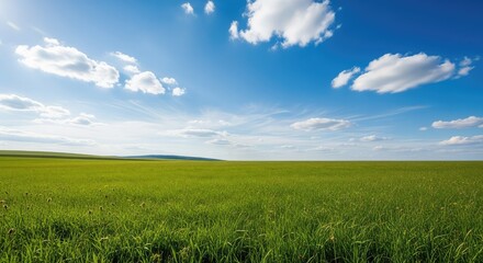 Obraz premium A breathtaking summer landscape featuring a vast green meadow under a bright blue sky filled with fluffy white clouds in the countryside, peaceful, rural, bright