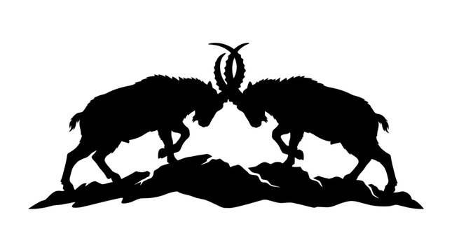 Two Ibex Butting Heads On Mountain Peak Black Silhouette