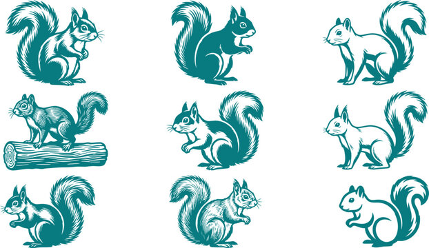 Collection of squirrel silhouettes in multiple poses for wildlife themed graphic design and nature projects