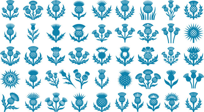 Decorative thistle flower vector elements collection in flat graphic style for botanical and floral projects