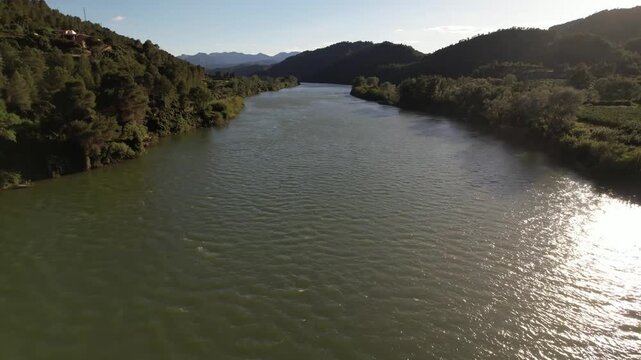 Aerial Drone Flight Along the River Ebro Through a Forested Mountain Valley Spain