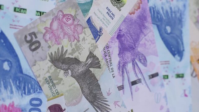 Argentina paper money, peso in various denominations. Argentine money as a business background for your design
