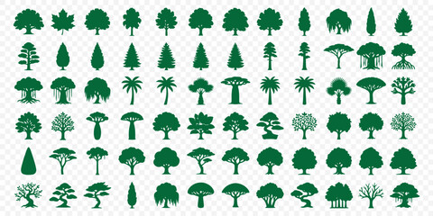 Fototapeta premium Collection of 60 diverse tree silhouettes with evergreen and deciduous forest trees. Set of tree silhouettes black icons featuring various pine fir and deciduous forest shapes isolated on a white