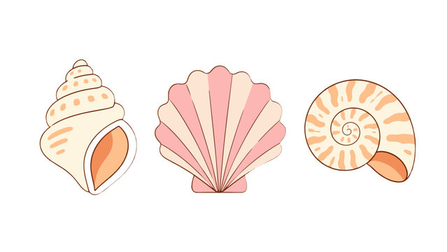 Hand drawn seashell set with spiral and scallop shell