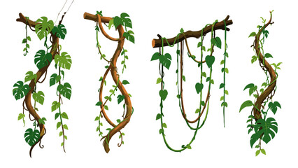 Tropical hanging vines and leafy branches isolated set © icon_art