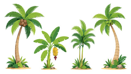 Obraz premium Cartoon tropical palm and banana trees isolated plant set