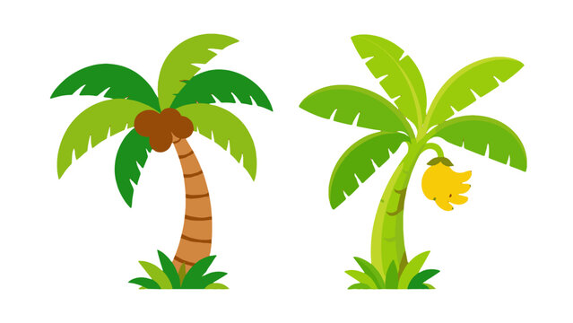 Cartoon coconut and banana palm trees isolated on white