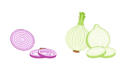 Naklejka premium Vector set of red and green onions with sliced pieces