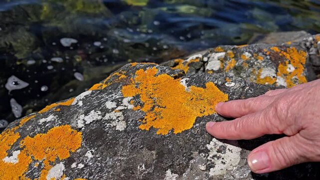 A hand srokes colored granite. Norway. June 2026