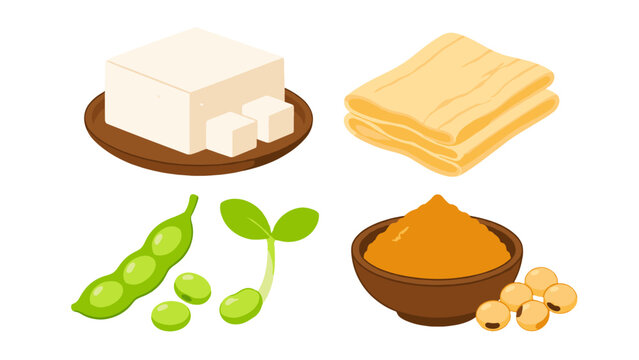 Cartoon soy food ingredients with tofu edamame and soybean paste
