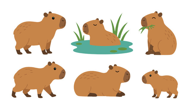 Cute capybara characters in simple flat vector illustration set