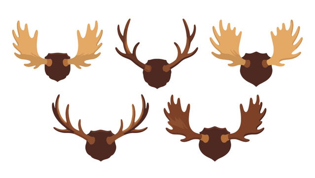 Set of mounted moose and deer antlers in flat vector style
