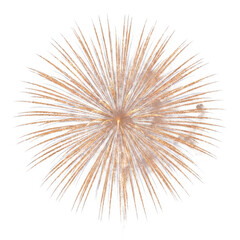 Fototapeta premium Golden firework explosion isolated on transparent background