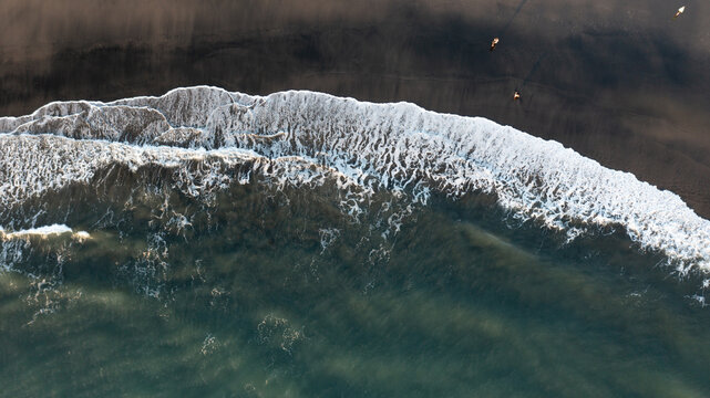 Aerial view of dark sand beach with white sea foam from crashing waves and people walking along the shoreline in Piha, Auckland, New Zealand.