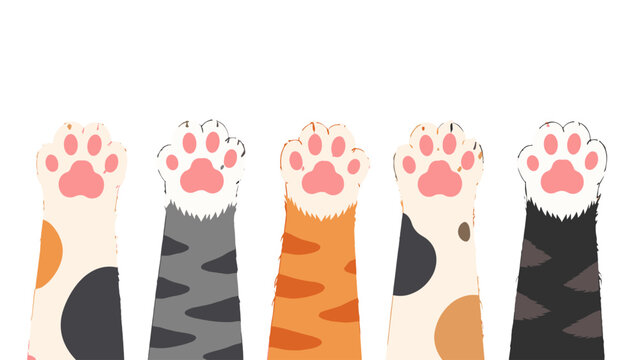 Five colorful cat paws in a flat vector illustration
