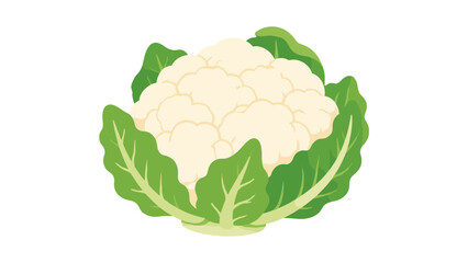 Naklejka premium Cauliflower vegetable icon with green leaves