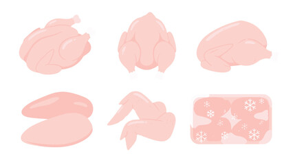 Raw chicken cuts and whole poultry meat vector set © Andrei