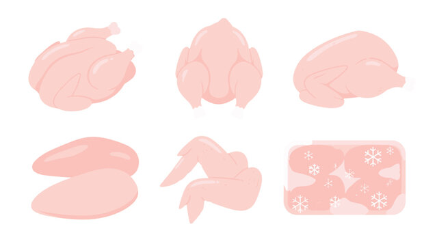 Raw chicken cuts and whole poultry meat vector set