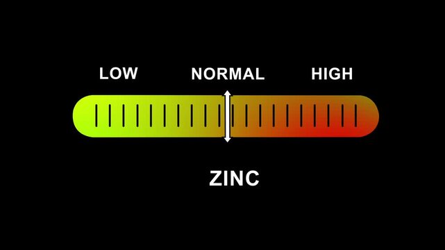 Dynamic zinc level indicator gauge showing variable nutrient concentration levels from low to normal and ranges for medical health diagnostics, nutritional analysis, and scientific research data