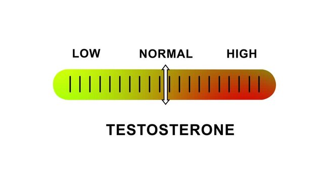 Animated testosterone level indicator gauge moving from low to range for medical health infographics, hormone balance analysis, endocrinology research, fitness tracking, and clinical diagnostic data