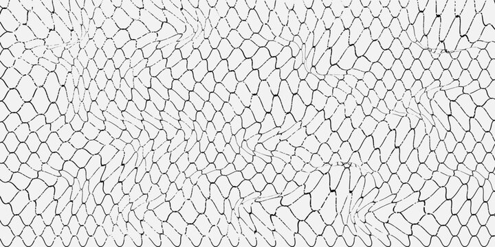 Abstract Organic Mesh Seamless Pattern Black and White Flowing Line Texture