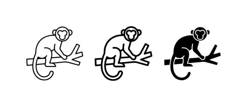 Monkey Icons Set, Primate Vector Graphics, Jungle Animal Silhouettes, Wildlife Art