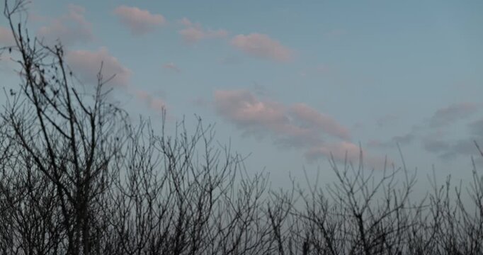 Cinematic Static Shot of Rack Focus from Sunset Clouds to Bare Branches Foreground, Golden Hour Twilight in Winter, Low Contrast Soft Light Minimalist Nature Background