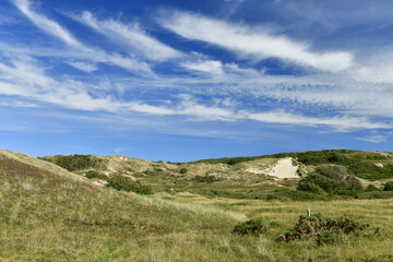 Fototapeta premium Le Mielle dunes, St.Ouen's, Jersey, U.K. Natural Summer sand dune landscape.