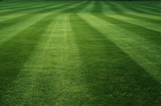 Lush green grass field with alternating light and dark stripes mowed in a pattern for a stadium or a sports pitch under natural daylight