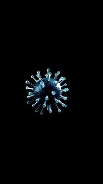 Microscopic bacteria floating on an empty black background, vertical video featuring scientific microorganism animation, microbiology concepts and medical research visualization