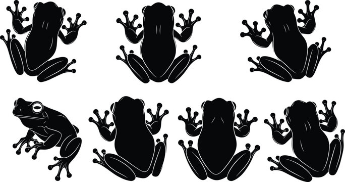 Frog silhouette collection with tree frog poses and climbing positions, vector illustration