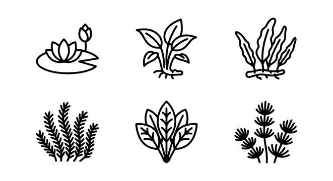 Aquatic Plants Vector Icons, Water Garden Flora Set, Underwater Vegetation Collection