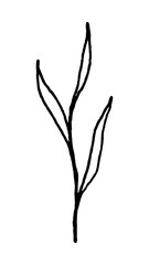 Leaf line art png black doodle, transparent background © Rawpixel.com