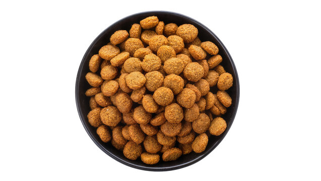 Isolated dry pet food kibble in a black bowl, healthy crunchy meal for domestic pets