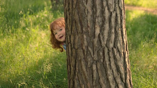 Happy little girl playing hide and seek behind a tree in a sunny park. Cute child laughing, having fun outdoors during spring. Childhood memory, joy, playfulness and exploration concept.