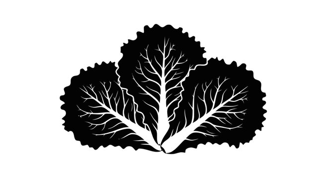 Vector illustration of fresh green lettuce leaves icon on a transparent background