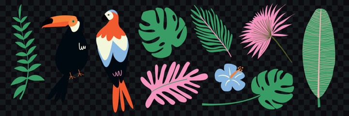 Obraz premium Vector illustration of tropical birds and leaves on a transparent background.