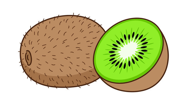 Whole and Halved Kiwi Fruit Illustration on White Background