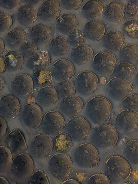 Aerial view of the unique volcanic vineyards of La Geria with stone walls protecting vines in the dark volcanic soil of Lanzarote, Canarias, Spain.