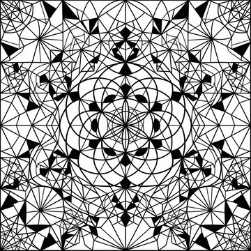 Intricate black and white spider web design pattern.