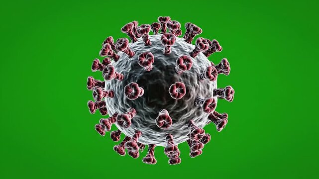 3D Animated Visualization Of Coronavirus Structure Isolated On Green Screen Background For Medical And Scientific Use