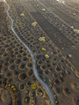 Aerial view of the unique volcanic vineyards of La Geria with circular stone walls protecting vines in the black volcanic soil of Lanzarote, Canarias, Spain.