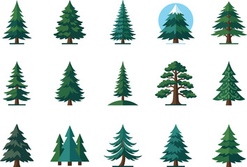 Obraz premium Collection of various pine tree illustrations.