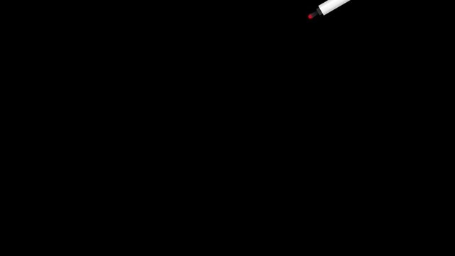 Hand Drawn Animated Red Circle Outline Marker Pen Drawing on Black Background Highlighting Emphasis