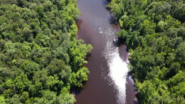 Flying over a river surrounded by forest in Minnesota.