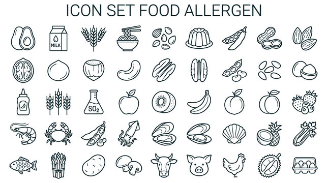 Food allergen icon set with common allergens.