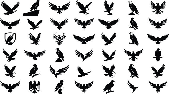 Eagle silhouette collection dynamic poses wings spread flying perched hunting attack stoop