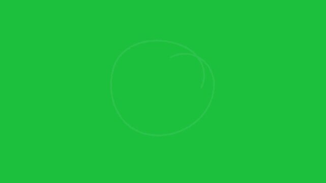 White Dashed Line Drawing a Circle on Green Screen