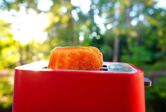 Bread toasting in bright morning light near trees in garden setting. Sunlight shines as bread toasts in red toaster in forest setting in morning breakfast. 